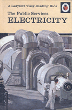The Electricity Service