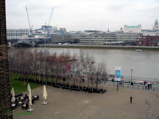 From the Viewing Deck