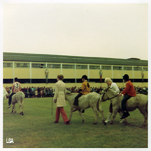 Donkey Derby